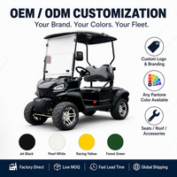 Carrito de Golf Eléctrico de Dos Plazas, Motor de CA de 4KW, 60V, Alcance de 80-100KM, para Campos de Golf, Resorts y Villas, Color Personalizado, Venta al Por Mayor