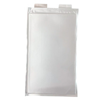 3,7V 110Ah NCM Soft-Pack-Akku mit 1500+ Zyklen für Elektrofahrzeuge, Elektrowerkzeuge & BMS