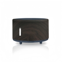 Diffuseur de parfum intelligent Bluetooth musique flamme USB électrique diffuseur de parfum portable pour cuisine hôtel hall chambre