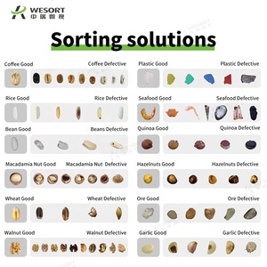 <span class=keywords><strong>Macchina</strong></span> Ottica Compatta Wesort ad Alta Efficienza <span class=keywords><strong>per</strong></span> la Classificazione del Colore delle <span class=keywords><strong>Nocciole</strong></span> <span class=keywords><strong>per</strong></span> la Lavorazione di Noci Speciali in Impianti Globali - Product Image 3