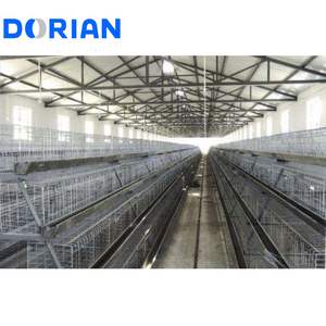 อาคารฟาร์มสัตว์ปีกสำหรับไก่5000โครงสร้างเหล็กสำเร็จรูปขนาดเล็กดีไซน์ใหม่ - Product Image 5