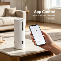 Diffuseur d'huiles essentielles intelligent portable sans eau de 100 ml, petit diffuseur d'arômes à brume fine, purificateur d'air pour la maison