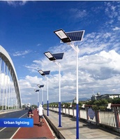100W 150W 200W 300W Guangzhou a mené les réverbères solaires a mené les lumières solaires extérieures de jardin Polonais a mené les réverbères solaires, réverbères