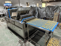 Tartelettes Skywin 10 voies Biscuits de dépôt de chocolat faisant la machine pour l'usine de production de biscuits