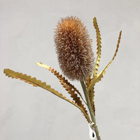 Bunga Banksia PVC Sentuhan Asli Berkualitas Tinggi D-231 Warna Kopi Muda untuk Dekorasi Pernikahan