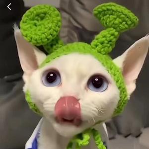 Divertido Disfraz de Gato <span class=keywords><strong>sin</strong></span> <span class=keywords><strong>Pelo</strong></span> de Hilo Ecológico, Estilo Punk Reggae Rock, Disfraz de Perro, Decoración Sólida de Navidad e Invierno - Product Image 6