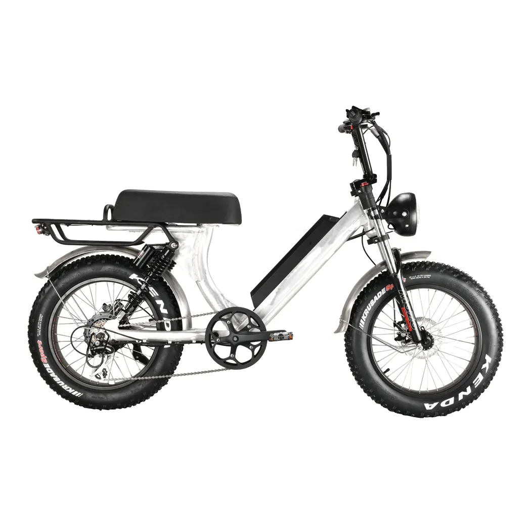 Lohas — vélo électrique Long siège pour 2 personnes, avec grands pneus, pas cher, avec CE, nouveau Design, 2019