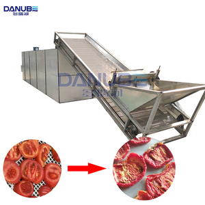 Fabricant de machines de déshydratation de légumes de bonne qualité, sécheurs à bande maillée, lignes de production pour le nettoyage et la découpe des tomates - Product Image 1