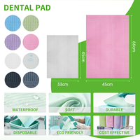 Bavette dentaire jetable en papier laminé PE, tablier dentaire imperméable et résistant aux taches pour clinique dentaire, personnalisation disponible