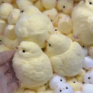 Juguetes Blandos Hechos a Mano Chick Taba, Juguetes Sensoriales Ultra Suaves, Juguetes Antiestrés de TPR para Aliviar el Estrés, Aptos para Adultos y Niños - Product Image 3
