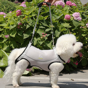 <span class=keywords><strong>Chien</strong></span> <span class=keywords><strong>âgé</strong></span> jambe arrière sac à dos de levage laisse <span class=keywords><strong>pour</strong></span> animaux de compagnie <span class=keywords><strong>chien</strong></span> handicapé laisse de levage assistée sac de voyage <span class=keywords><strong>pour</strong></span> animaux de compagnie transporteur de <span class=keywords><strong>chien</strong></span> - Product Image 1