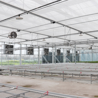 Table de croissance pour équipement agricole GT, lit de semis en treillis métallique, serres, bancs roulants