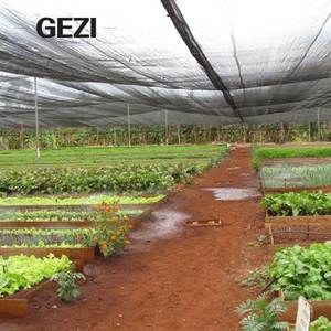 Pe plastica impermeabile 90 uv verde ombreggiatura rete parasole tessuto di rete vele per serra agricola telaio rotolo cina - Product Image 2