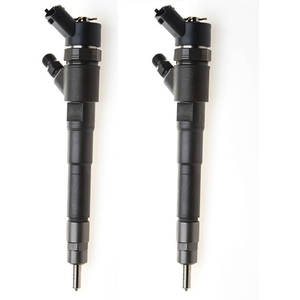 Nuevos inyectores de combustible para Fiat Ducato <span class=keywords><strong>Iveco</strong></span> Daily PEUGEOT CITROEN-Válvulas de inyección 0445110248 0445110247 504088823 0986435163 - Product Image 3