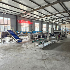 Ligne de production de frites de pommes de terre à petite échelle 2026, machine à fabriquer les frites en promotion - Product Image 5