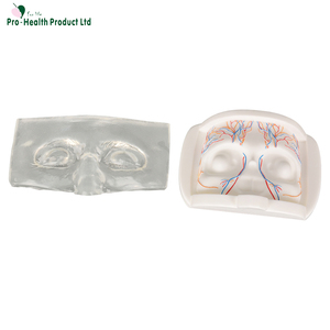 Simulateur ophtalmique : Kit d'entraînement à l'injection <span class=keywords><strong>de</strong></span> vaisseaux sanguins simulés pour étudiants en médecine, médecins, aide pédagogique, sciences médicales, OEM - Product Image 5