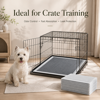 Tapis d'apprentissage jetables en charbon de bambou pour chiots, matériau PE, super absorbants, anti-odeurs, imperméables, pour animaux de compagnie, en vrac, OEM