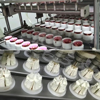 Machine automatique de fabrication, de remplissage et de scellage de gobelets d'eau pour compote, confiture et glace ORME, 3 saveurs, 4 voies, 6 voies