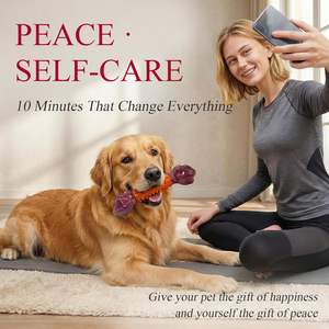 Jouets à mâcher interactifs pour chiens - Plastique durable et résistant pour les chiens agressifs et les grands chiens - Product Image 6