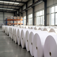 Papier Offset Haute Blancheur 80 g/m² pour Cahiers et Manuels Professionnels, Autres Formats, Shandong