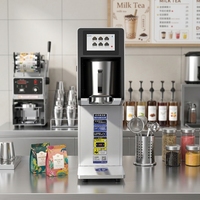 Bouilloire électrique automatique pour thé et jus, nouveau modèle