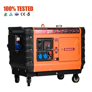 Bison Importing 195F Single Phrase 7Kva 7000W Standby Diesel Generator For Standby