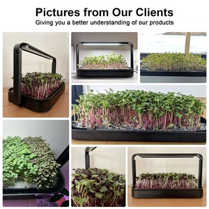 Indoor Small Home <b>Planter</b> Vegetable Hydroponics Growing System Microgreen Grow Kit Pot for Herbs - Product Image 3