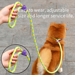 Conjunto de <span class=keywords><strong>collar</strong></span> de correa de perro y gato de nailon duradero para entrenamiento táctico de cuerda de plomo antideslizante fuerte con logotipo personalizado de lujo de fabricante - Product Image 6