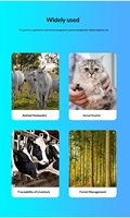 Lecteur d'étiquettes d'animaux OEM, scanner RFID pour animaux de compagnie, CKU NGKC, clinique vétérinaire, ferme, bétail, scanner d'étiquettes d'oreille pour chiens et chats, 125 134,2 KHz