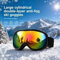 Lunettes de ski en gros à double lentille anti-buée, lunettes de neige cylindriques, vente directe d'usine, logo personnalisé OEM, approvisionnement en gros