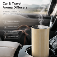 Diffuseurs d'arômes personnalisés Diffuseur professionnel de nébulisation d'huiles essentielles sans eau pour la voiture, l'extérieur, le yoga, la salle de sport et les voyages d'affaires
