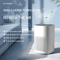 Purificateur d'air portable USB-C avec filtres HEPA et charbon actif, veilleuse et diffuseur d'arômes, commande manuelle, utilisation sur bureau