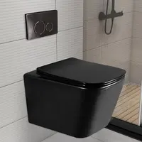 European Wall-mounted Wc, Matte Color Bathroom