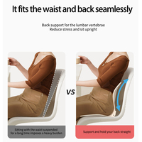 2025 nouveautés usine gros orthopédique ergonomique dos soutien repos Portable lombaire Posture correcteur coussin de siège