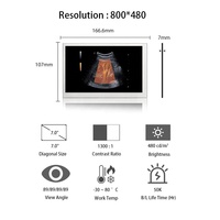 Écran médical portable AUO 7 pouces 800x480 480 nits LVDS 30 broches G070VAN01.0, panneau d'affichage TFT LCD, modules LCD