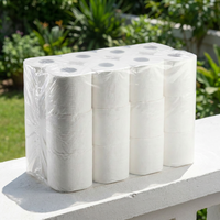 Harga Grosir Tisu Toilet 2 Ply 16gsm 24 Gulung, Kekuatan Basah Tinggi, Lembut, Tahan Lama, Kuat, Transparan, Stok Pakai Sehari-hari