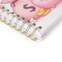 Carnet de budget personnalisé à spirale avec suivi financier quotidien/mensuel, 100 feuilles