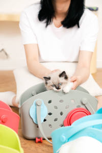 FLICKART Navidad tipo <span class=keywords><strong>EVA</strong></span> playa bolsa de transporte de mascotas silicona impermeable bolso de mano bolsa de goma para perro y gato Feliz Año Nuevo - Product Image 6