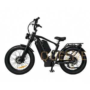 Vélo électrique tout-terrain 24 pouces à double moteur, batterie 60V/72V 40AH, pneus larges, amortisseur TDR03Z, moteurs puissants 2000W/3000W - Product Image 3