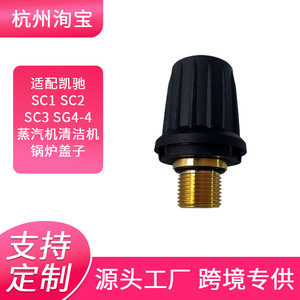 Valve en laiton noir et gris 85mm x 52mm pour pièces de nettoyeur vapeur à usage domestique - Product Image 5