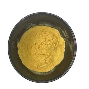 Suplementos Alta calidad 97% Berberine HCL 97% Polvo Mejor precio Clorhidrato Berberine a granel - Product Image 5