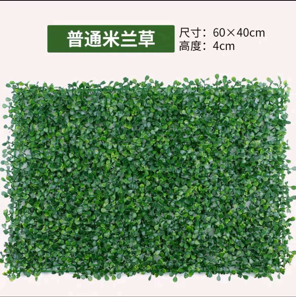 Common milanese grass