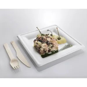 Piatto rotondo ecologico biodegradabile in bagassa (200 x 200 mm x H 16 mm) in polpa di canna da zucchero, usa e getta - Product Image 1