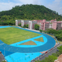 ASHER AR-FPU01 WA Piste de course synthétique standard de 400 m, 8 voies, 13 mm d'épaisseur, avec services d'installation