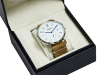 Montre Classique Design Mode Titan Fine Quartz Japonais pour Homme