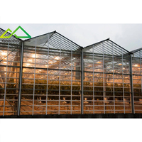 Lampe de culture HPS ( Sodium haute pression ) en alliage d'aluminium avec une durée de vie de 25 000 heures pour la culture de plantes en serre