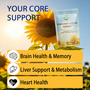 Poudre de lécithine de tournesol biologique OEM/ODM très vendue pour la pâtisserie et les smoothies, soutien pour la santé du cerveau, de la peau, des cheveux, du foie et du cœur - Product Image 4