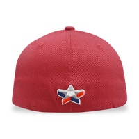 Casquette Oxford écologique personnalisée unisexe en coton avec broderie à la main motif fruits, casquettes de baseball sportives