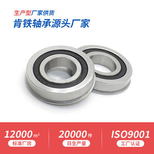 Fabricante se Especializa en Rodamientos No Estándar de Acero Inoxidable SF6801RS Hechos a Medida para Prótesis Humanas y Dispositivos de Baterías de Litio - Product Image 5