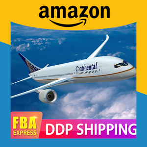 चीन में सबसे सस्ता समुद्री माल ढुलाई अंतरराष्ट्रीय शिपिंग अग्रेषण एजेंट चीन में शेनजेन को अमेरिकी कनाडा के लिए - Product Image 3